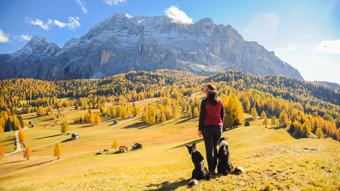 Well Prepared for the Trail – The Foundation for Happy Hikes with Your Dog