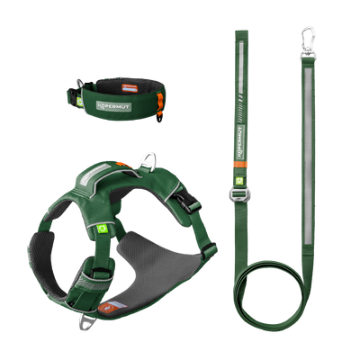Dolomitic Adventure Kit