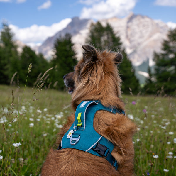 Dolomitic™ Harness Lake Blue