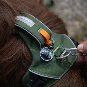 Dolomitic™ Harness Alpine Green