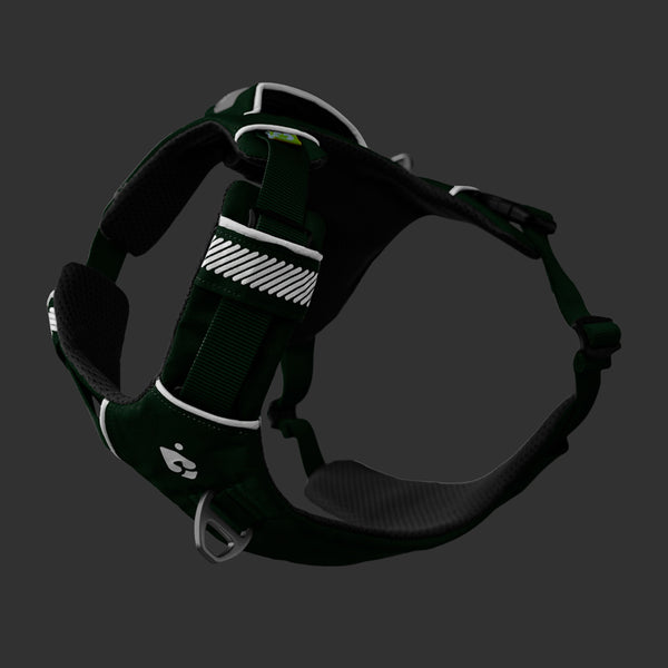Dolomitic™ Harness Alpine Green