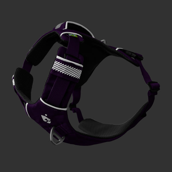 Dolomitic™ Harness Blueberry