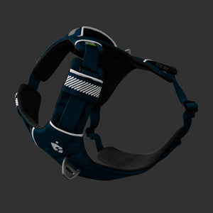 Dolomitic™ Harness Lake Blue