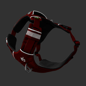 Dolomitic™ Harness