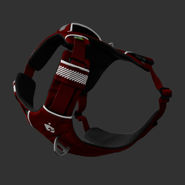 Dolomitic™ Harness