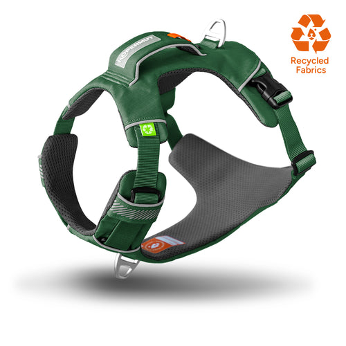 Dolomitic™ Harness Alpine Green