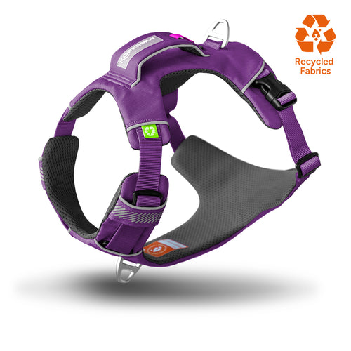 Dolomitic™ Harness Blueberry