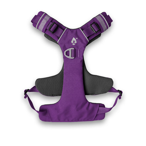 Dolomitic™ Harness Blueberry