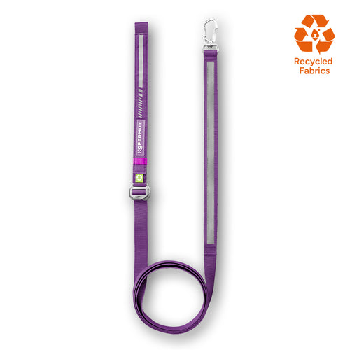 Dolomitic™ Leash Blueberry