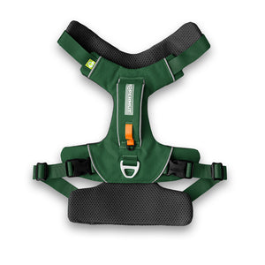 Dolomitic™ Harness Alpine Green
