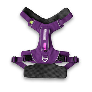 Dolomitic™ Harness Blueberry