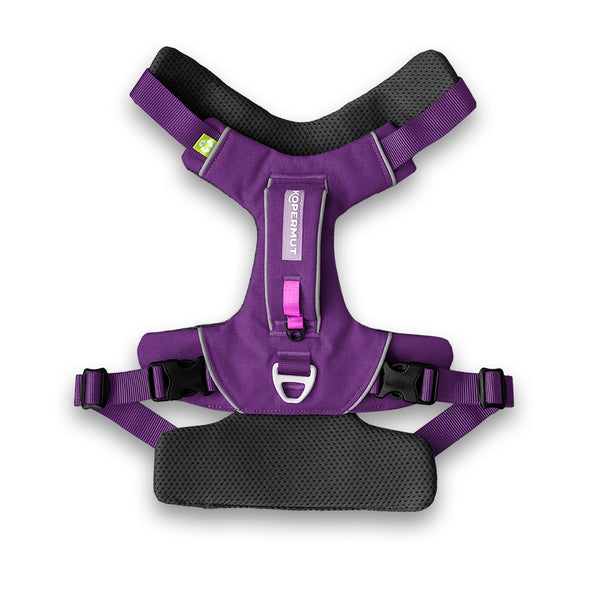 Dolomitic™ Harness Blueberry