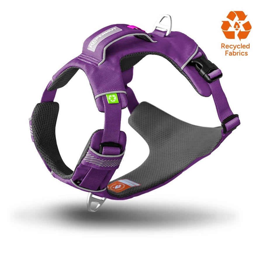 Dolomitic™ Harness