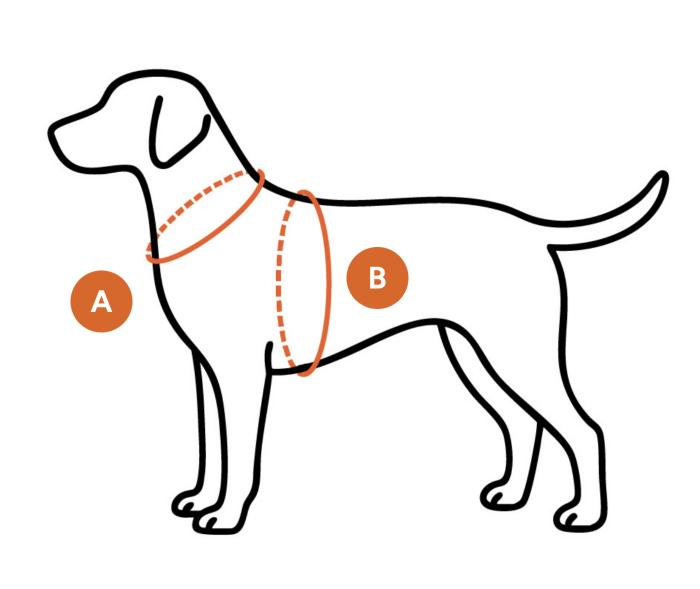 How to measure your dog