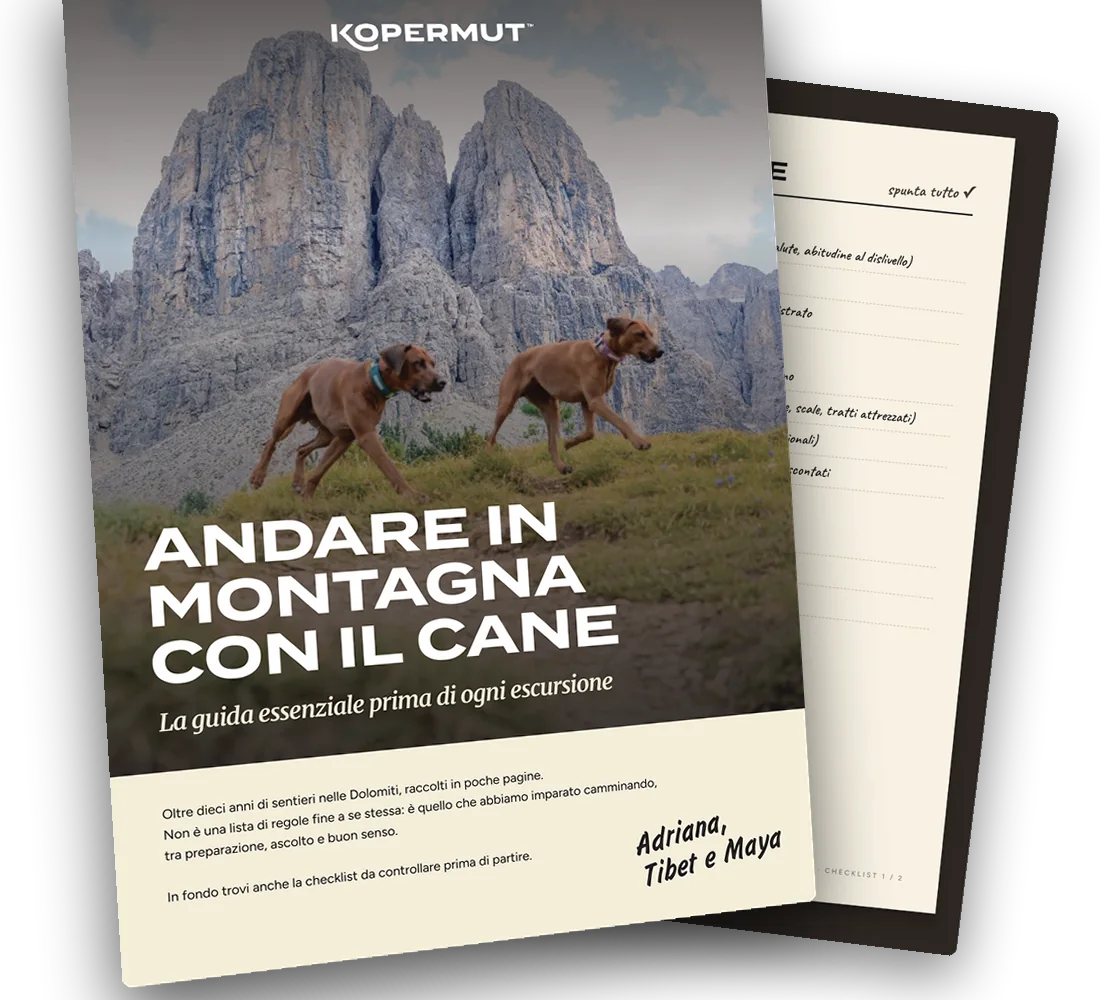 La guida Andare in montagna con il cane